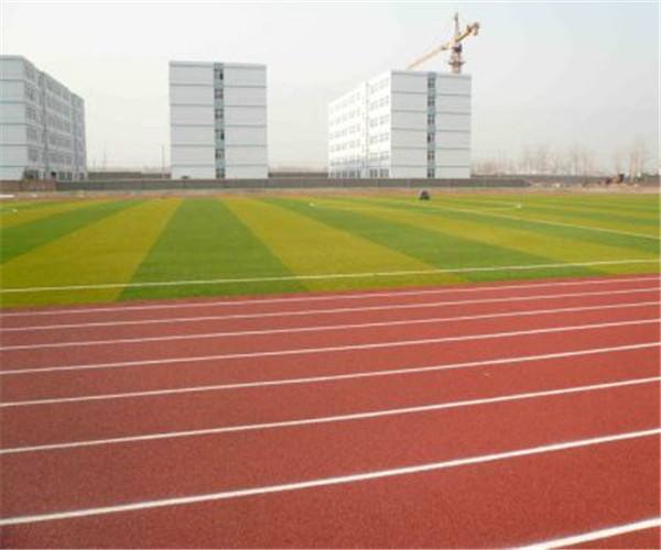 塑膠跑道每平方價(jià)格？